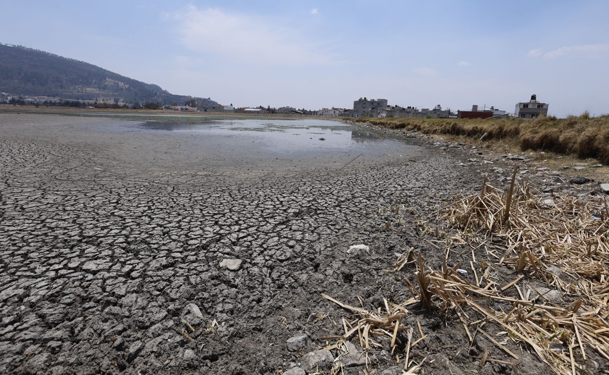 Sequía azota a Parque Sierra Morelos, en Toluca