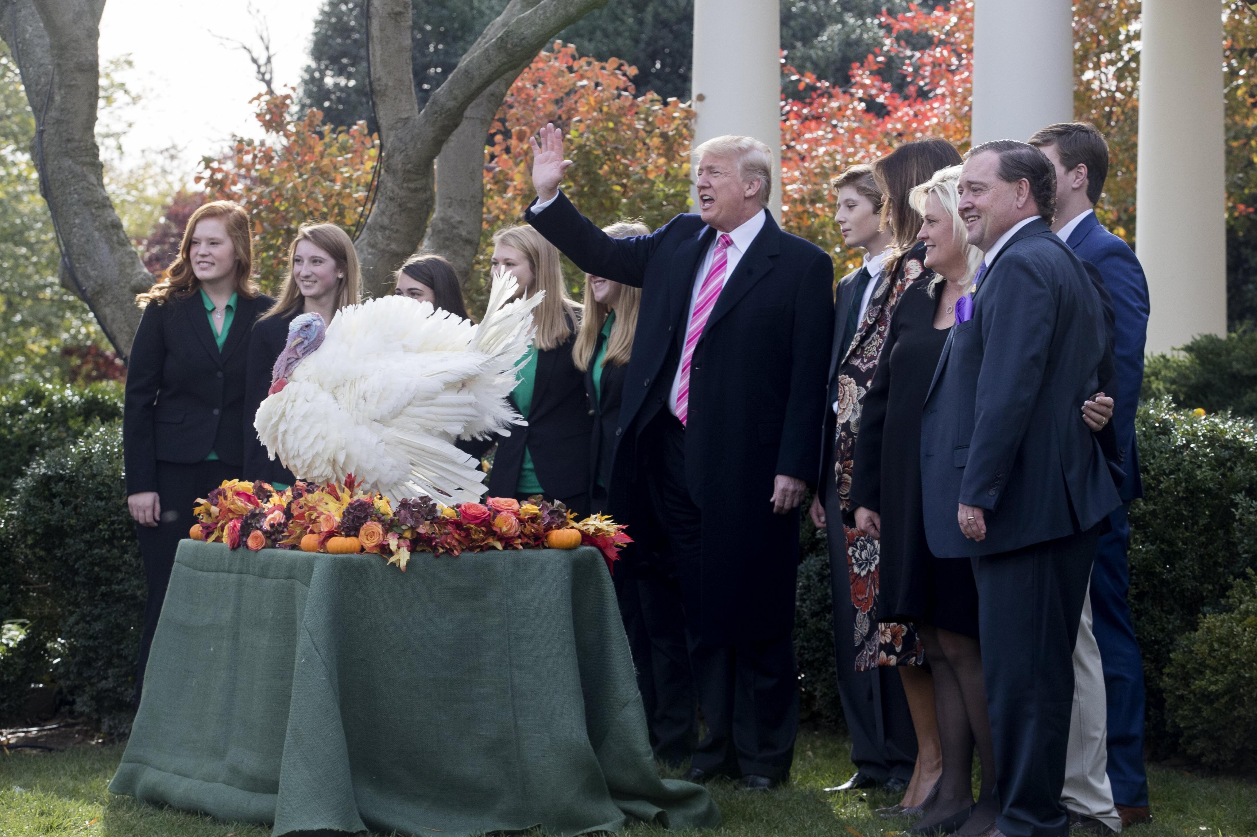 Trump sigue la tradición e indulta a dos pavos por día de Acción de Gracias