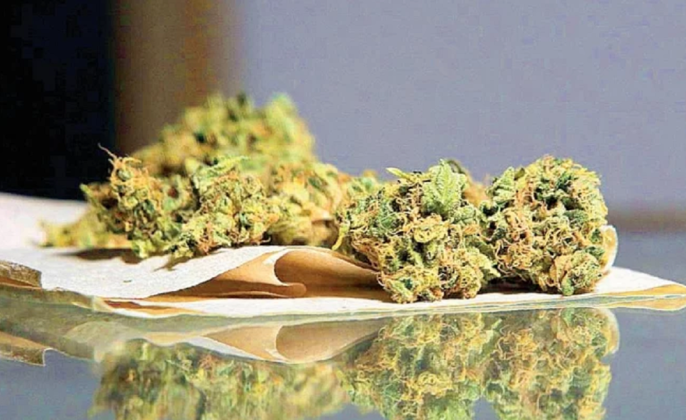 Legalización de la marihuana va por buen camino en el Senado