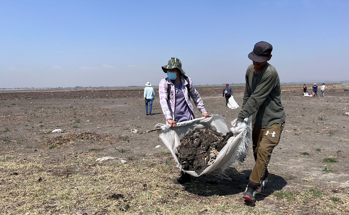 “Es muy importante rescatar este lugar”, afirma participante en segunda jornada de limpieza de lirio en la Laguna de Zumpango