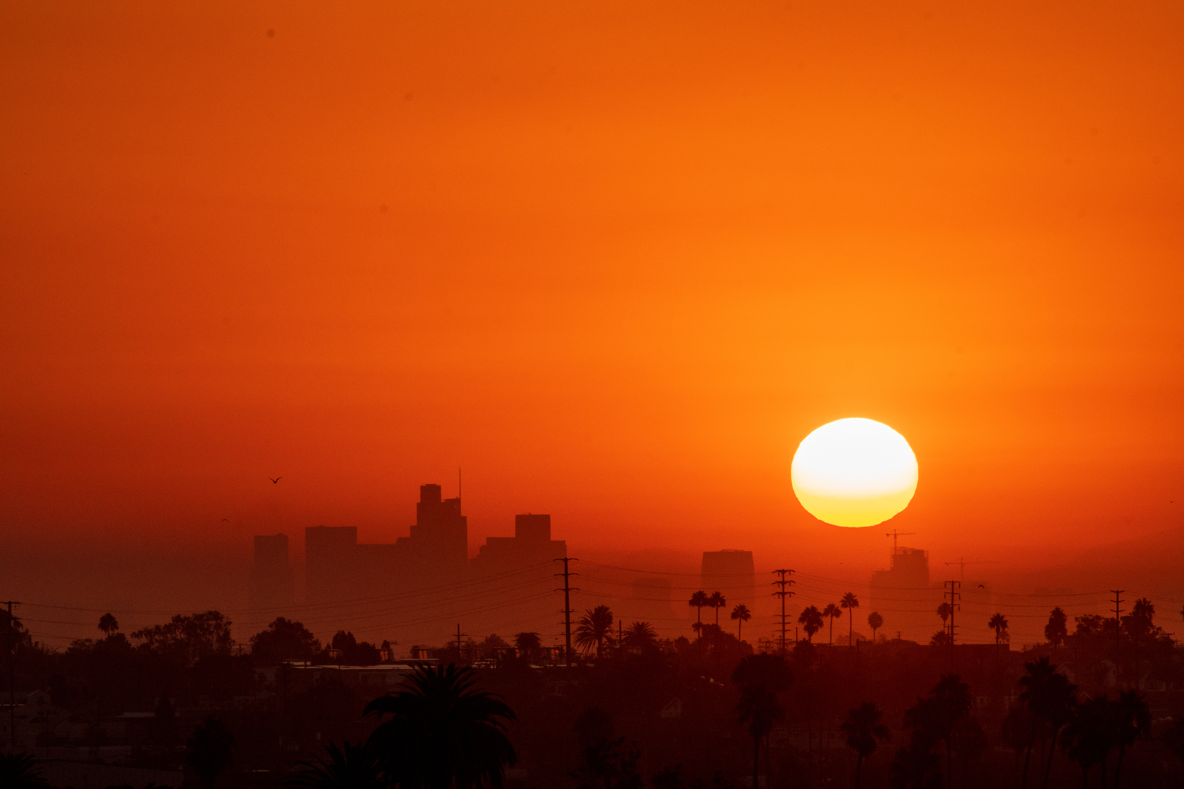 Canícula 2024. Tras olas de calor, México sufrirá otros 40 días de temperaturas altas