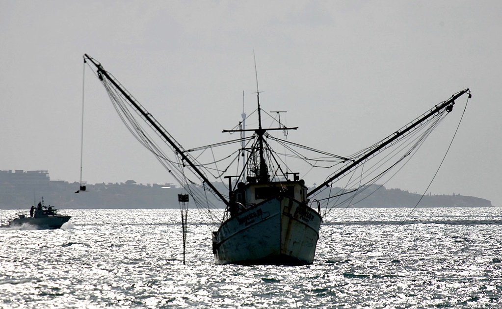 The rise of illegal fishing, a threat of austerity in Mexico