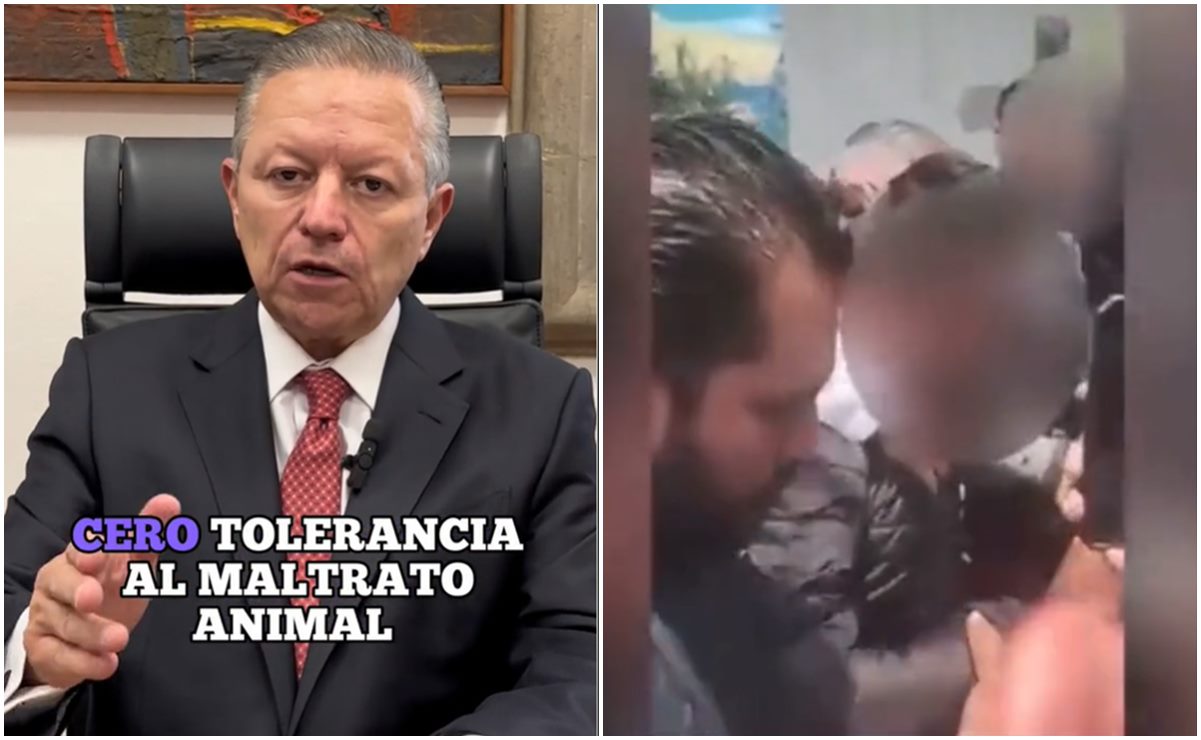 En caso de "Benito", perrito asesinado en Tecámac, debe haber cero tolerancia:  Zaldívar
