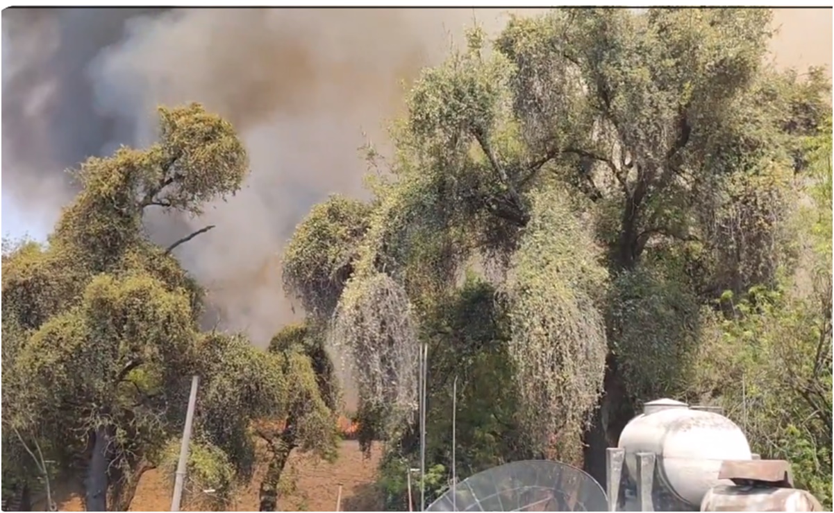 Bomberos atienden incendio de pastizal en Naucalpan