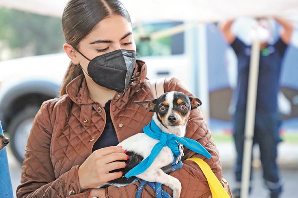 ¡Vacuna a tu lomito! Hay campaña antirrábica en Querétaro 