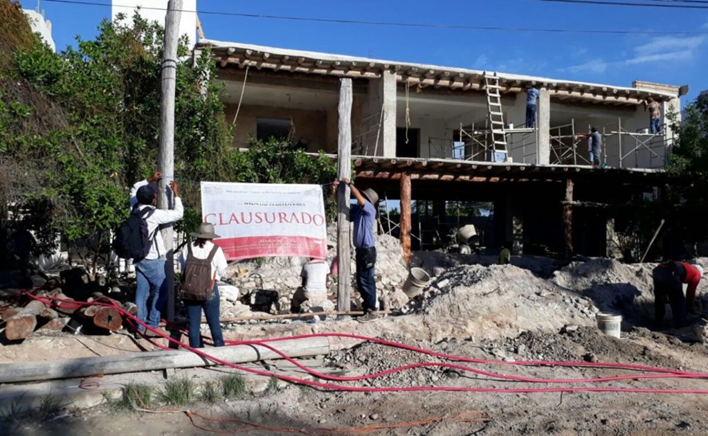 Reporta Profepa mil inspecciones de vigilancia en Quintana Roo durante 2017