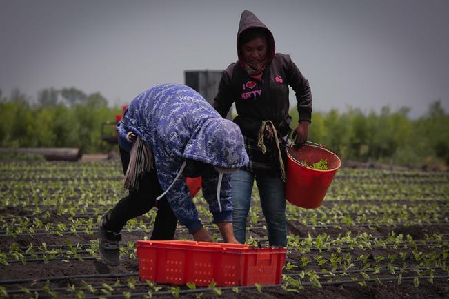 Zonas de cultivo dentro del Plan de Ordenamiento en Colón 