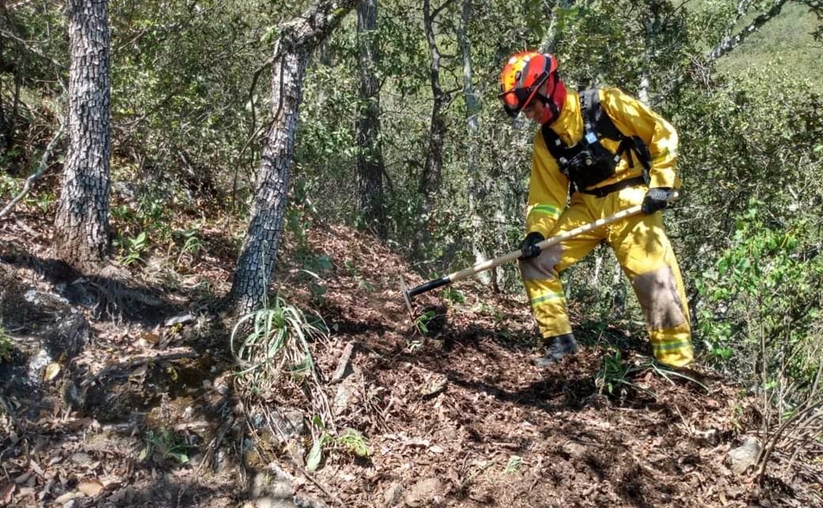 Luego de 15 días, controlan incendio forestal en Santa Catarina, Nuevo León; afectó mil 700 hectáreas