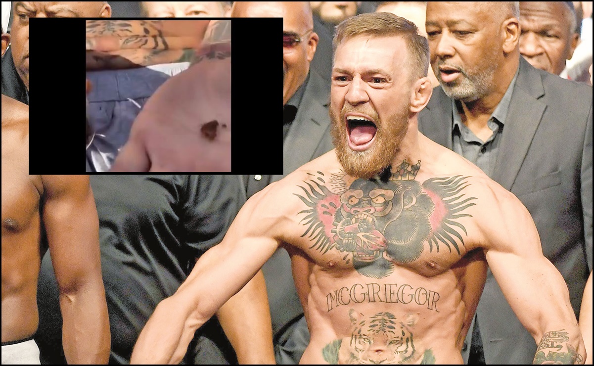 Conor McGregor come abejas muertas 