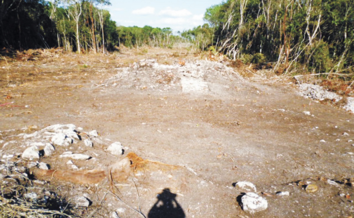 AMLO asegura museos y obras de Tren Maya y AIFA | El Universal