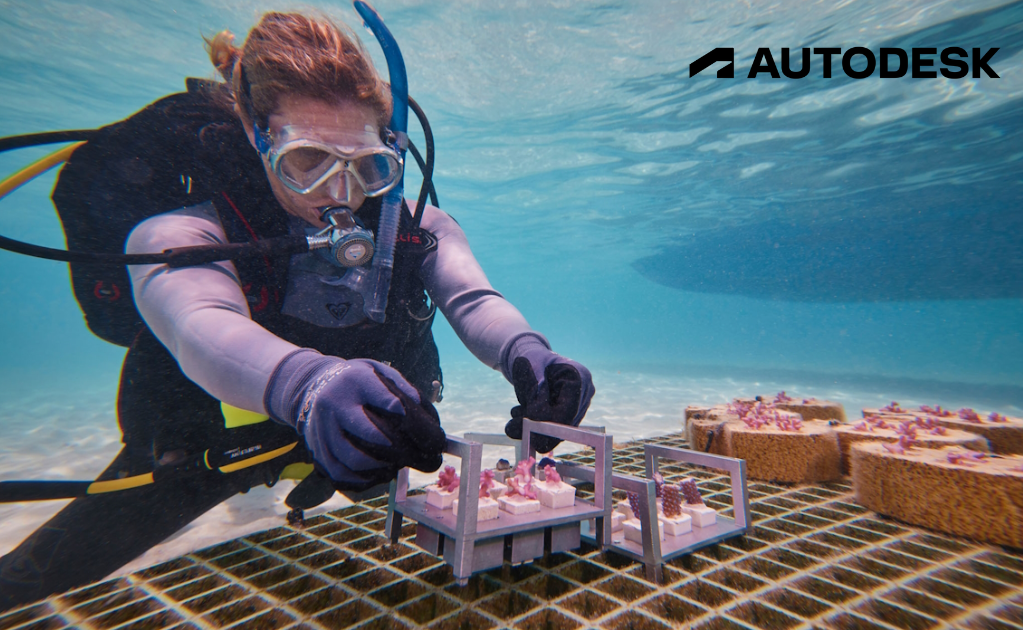 AutoDesk: Una carrera para restaurar los arrecifes de coral del mundo
