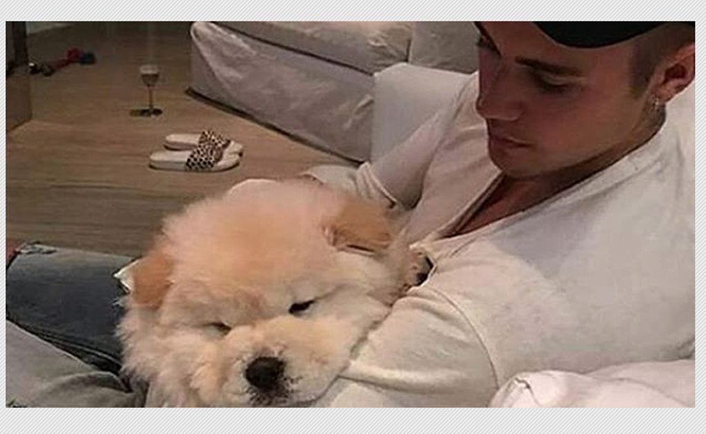 Justin Bieber se deshace por cuarta vez de una mascota