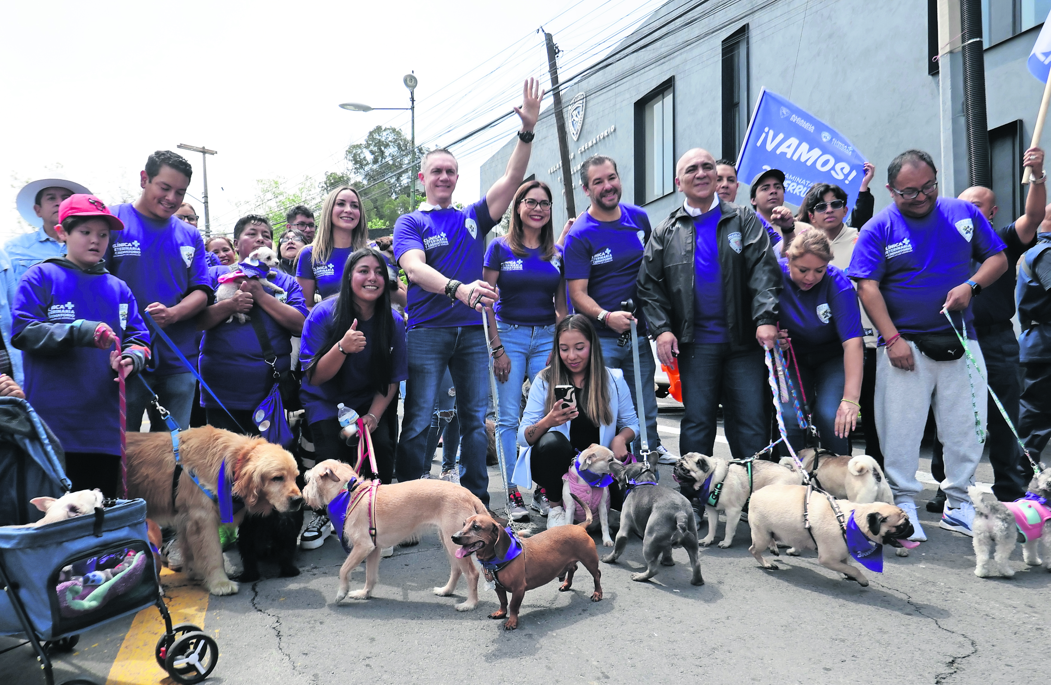 Realizan caminata perruna en la alcaldía Cuajimalpa