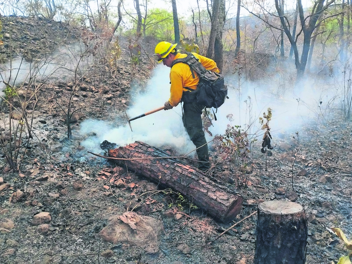 Chilpancingo y Acapulco, bajo humo por incendios forestales