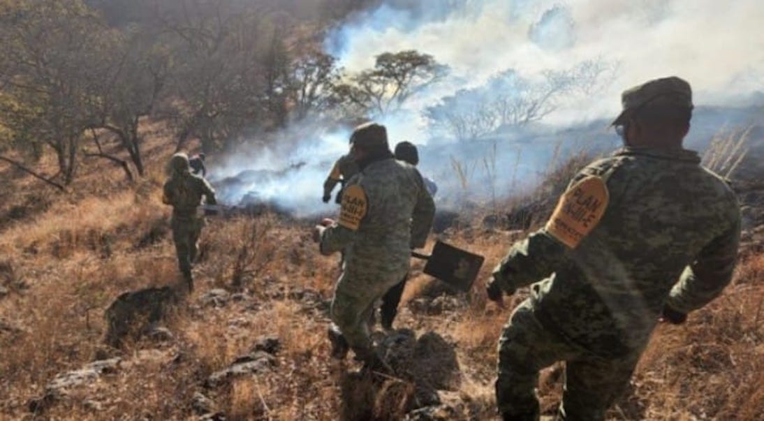 Incendio afectó 30 hectáreas de bosque: PC