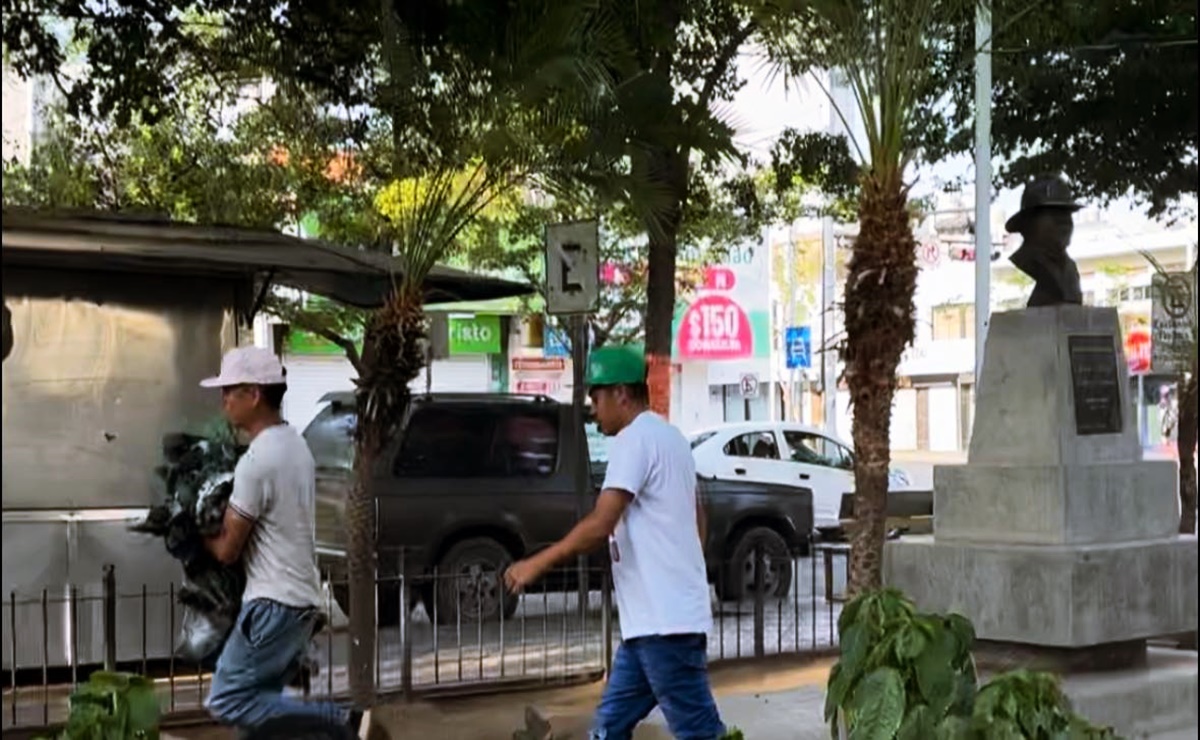 Jóvenes capturan pichones en el centro de Culiacán; transeúntes los confrontan y denuncian hechos en redes sociales