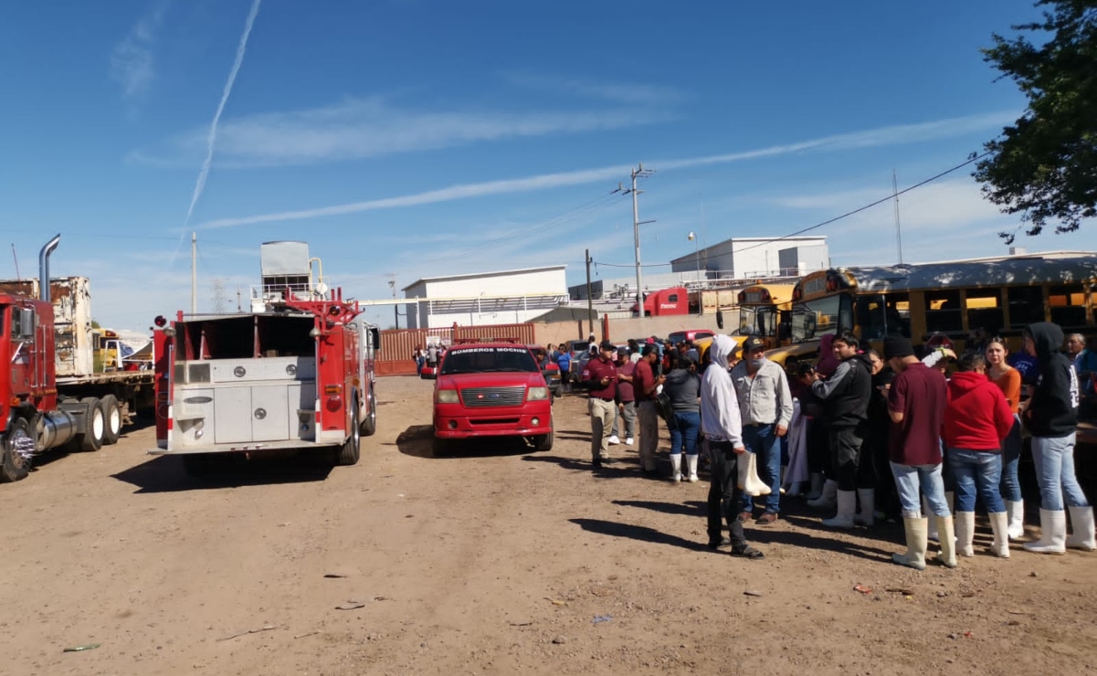 Se intoxican 7 trabajadores por fuga de gas amoniaco en empresa congeladora en Los Mochis-Ahome