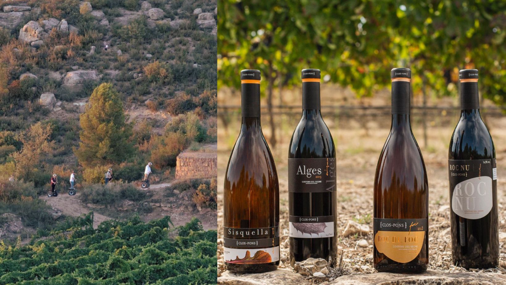 Los vinos de Clos-Pons una joya catalana de tradición y sustentabilidad