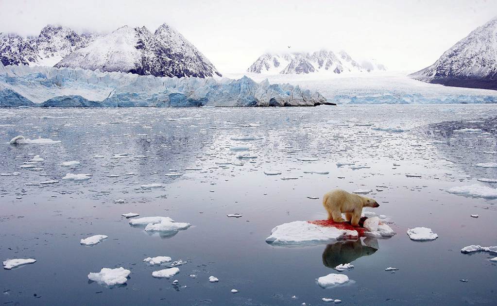 EU, UE y otros países se comprometen a proteger al Ártico