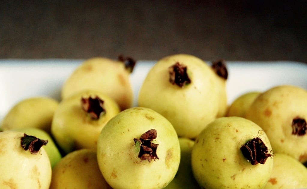 The many health benefits of guava