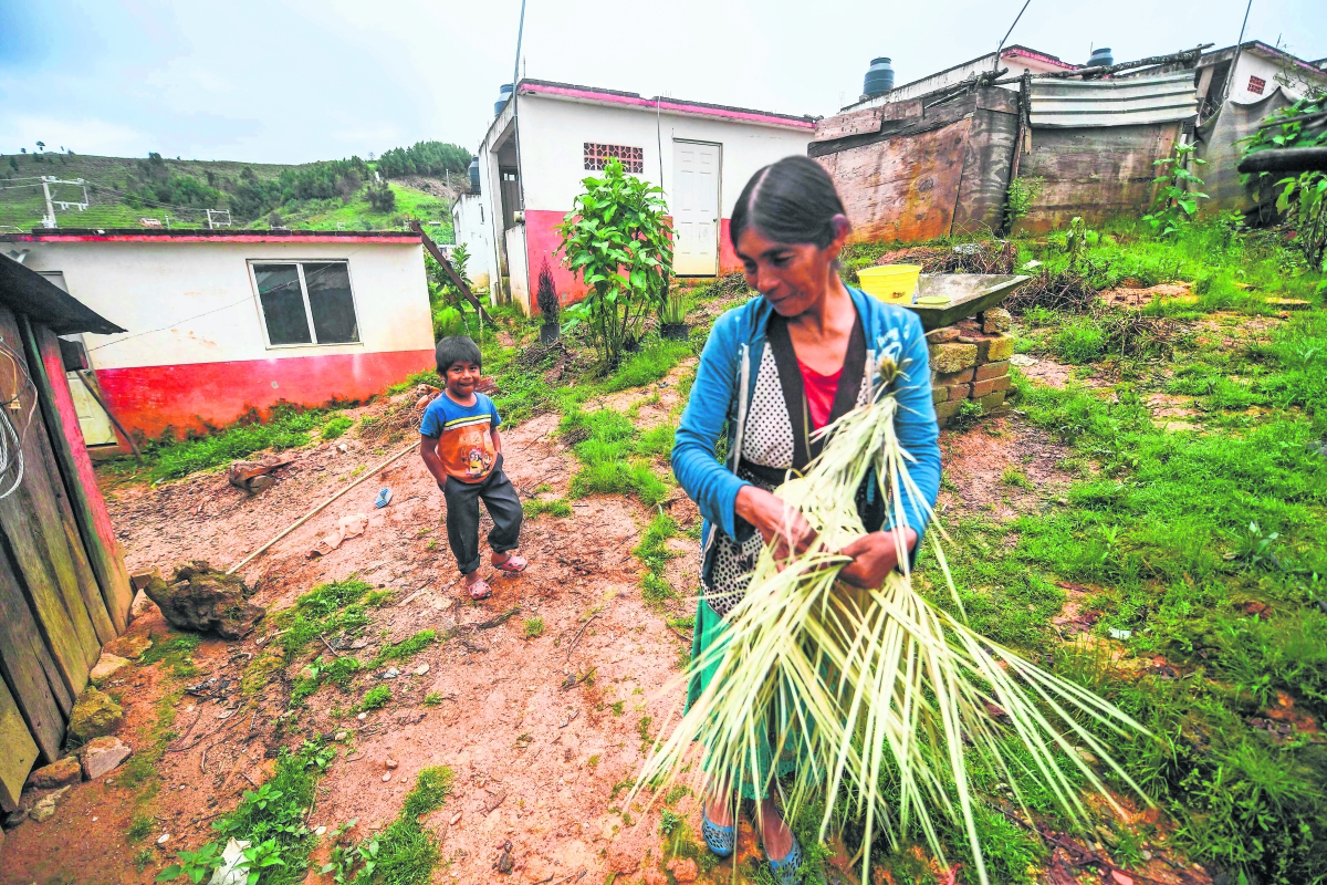 Salud y educación empañan reducción de la pobreza