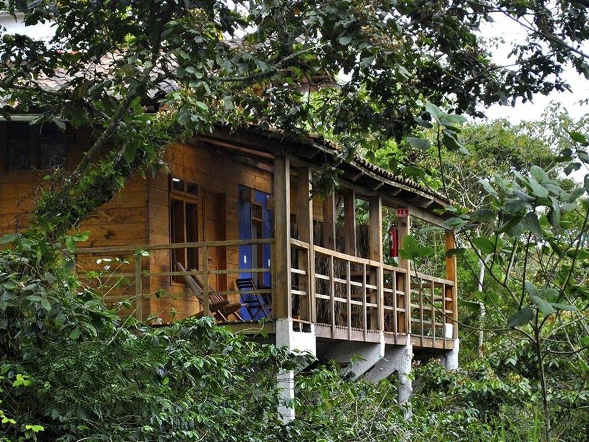 Reserva Azul: cabañas y glamping en en el bosque de Cuetzalan