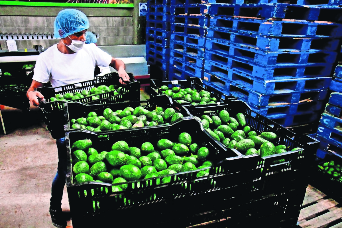 México confirma cierre exitoso del mecanismo laboral T-MEC contra firma de guacamole, RV Fresh Foods