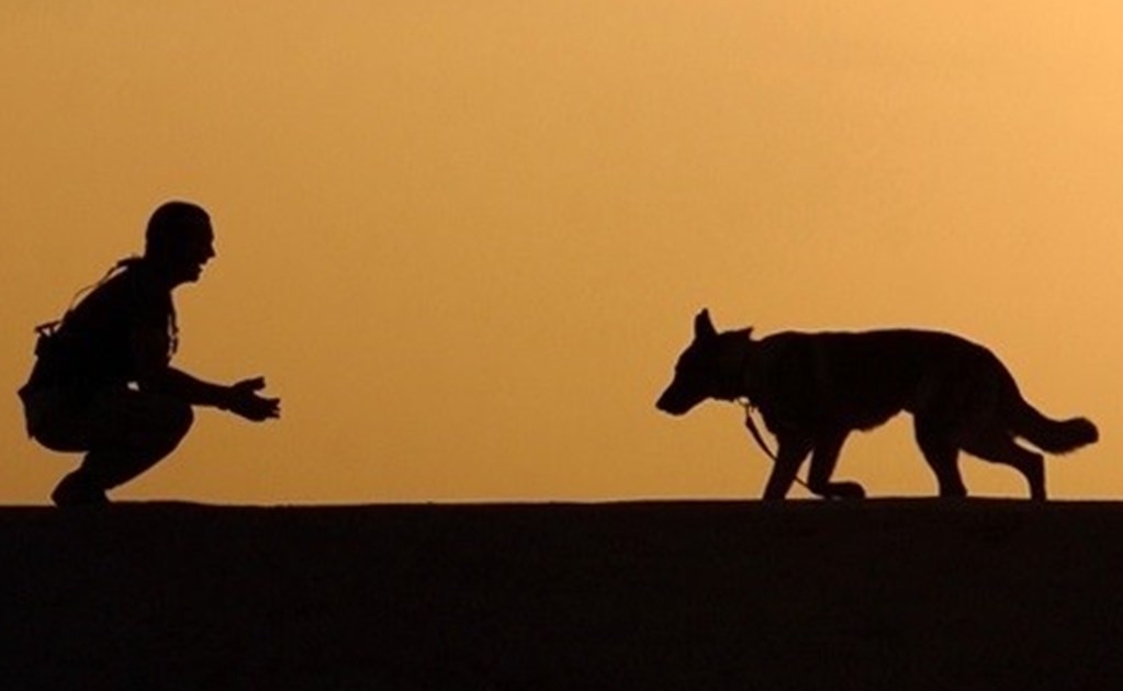 El afecto entre humanos y perros se remonta a hace 14 mil años