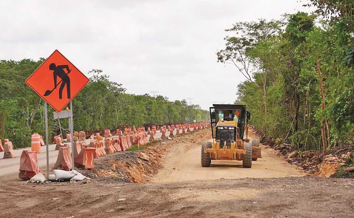 Análisis revela deforestación en 6 mil hectáreas de selva por obra del Tren Maya