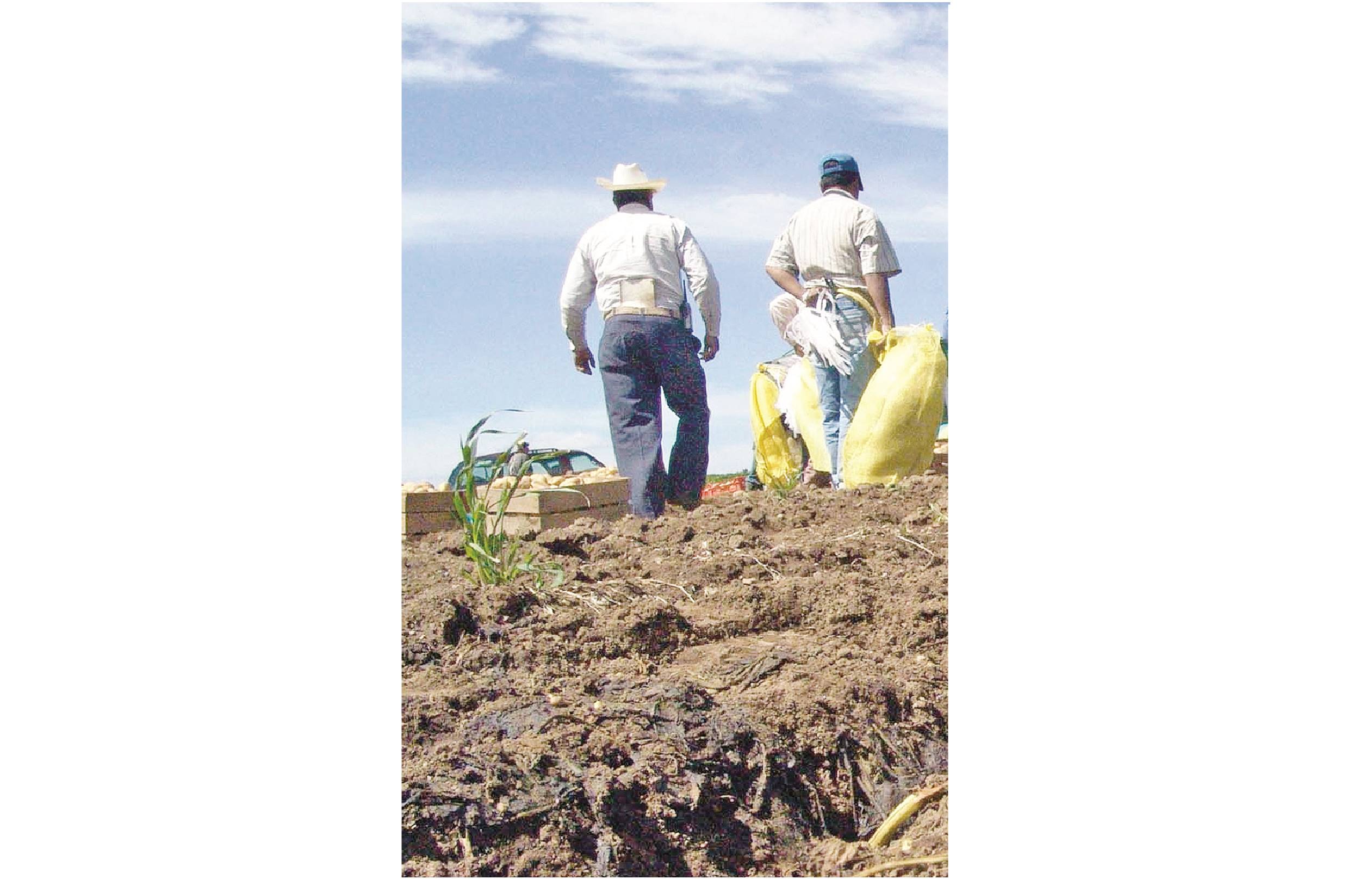 Denuncian delitos ambientales en Coahuila 