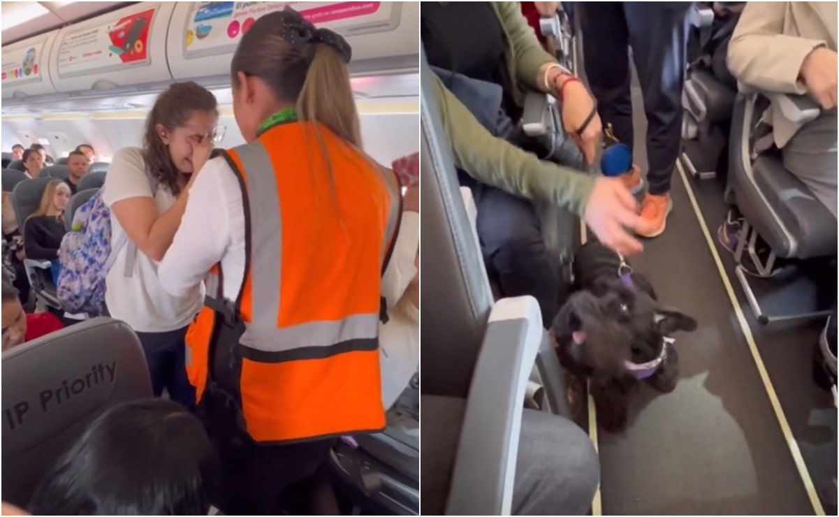 Pasajeros apoyan a mujer para evitar que la bajen de vuelo de Viva Aerobus con perrito de apoyo emocional