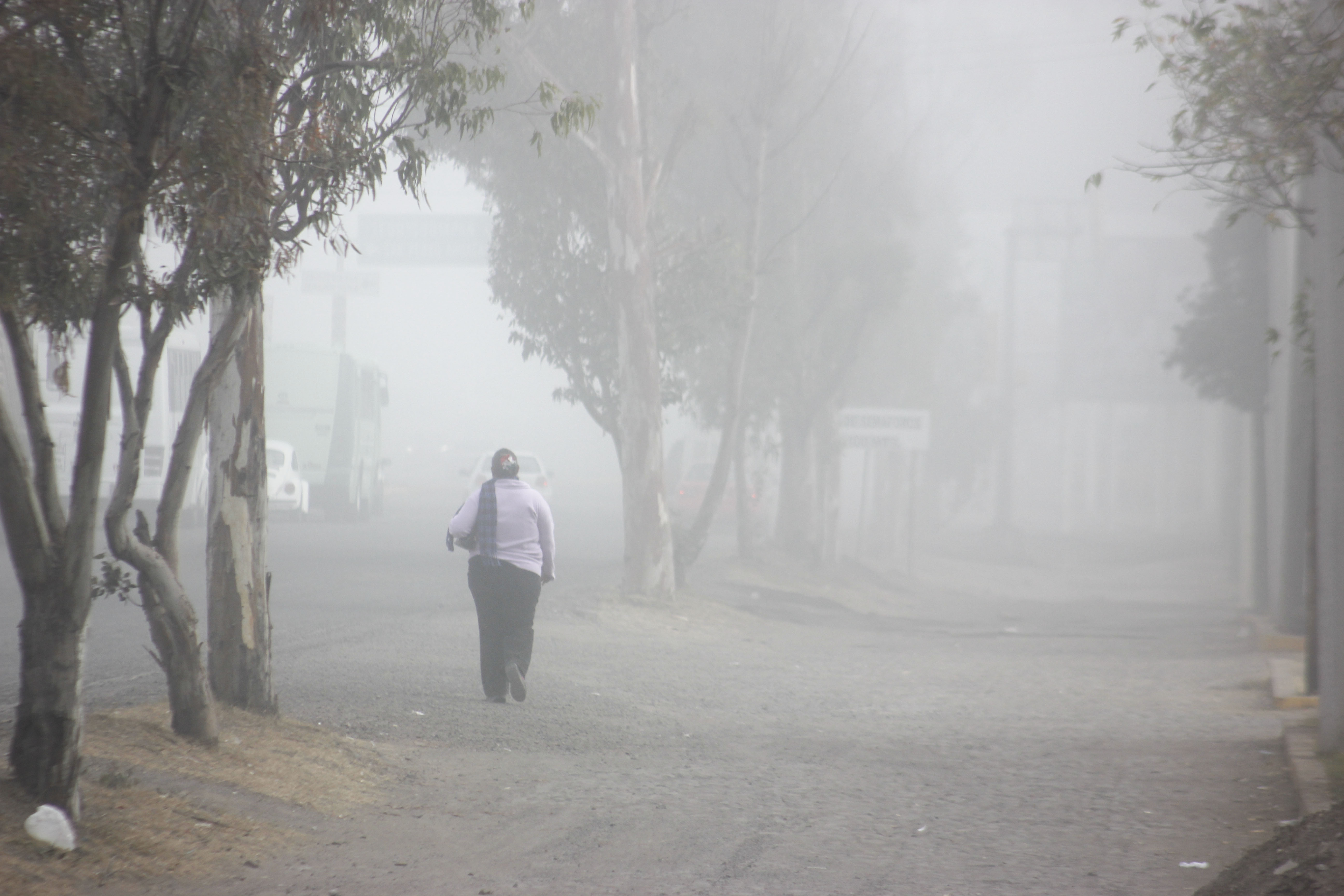 Banco de niebla afecta carretera libre México-Toluca