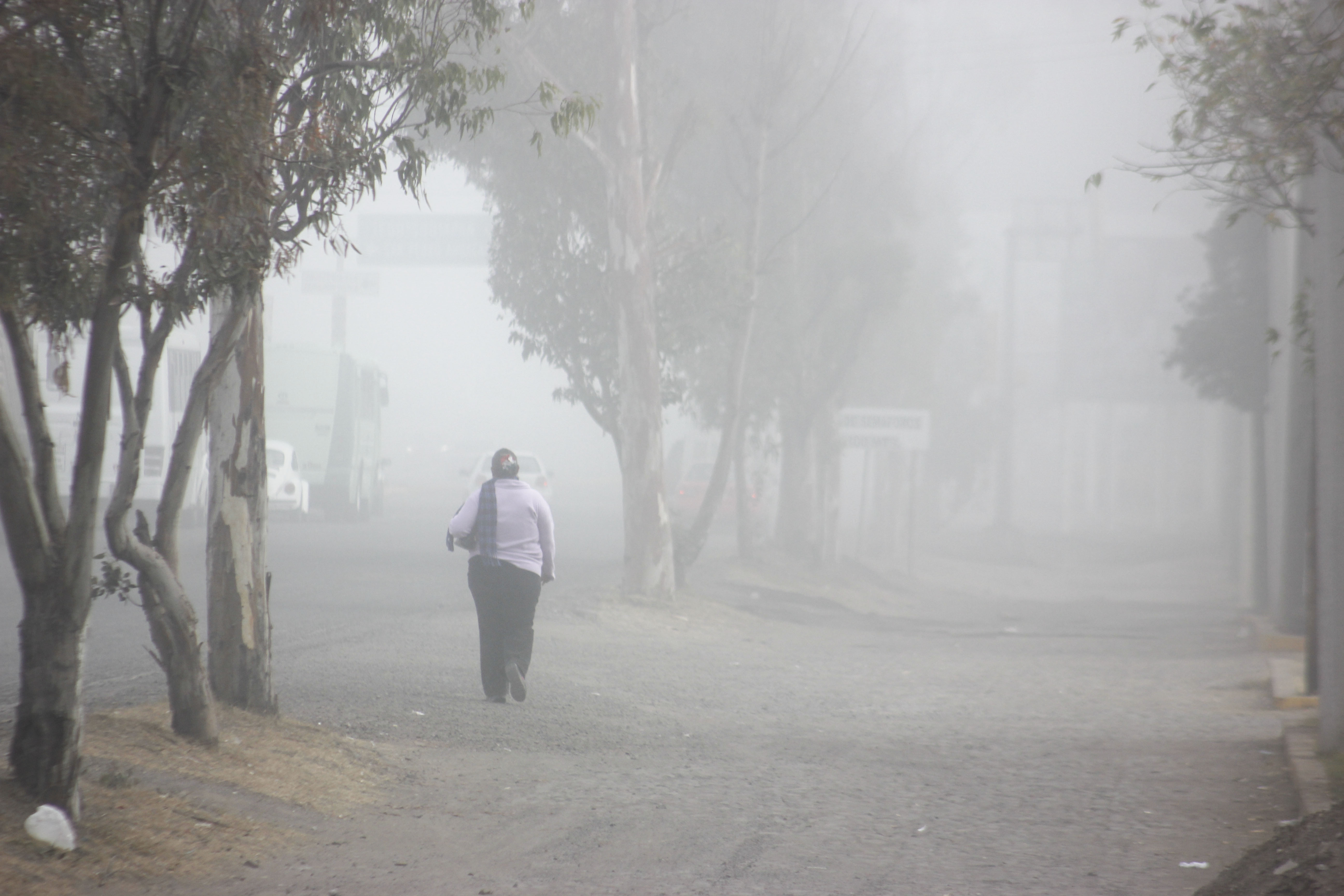 Frente frío 12 provocará lluvias, heladas y bancos de niebla en estos estados hoy 29 de noviembre 