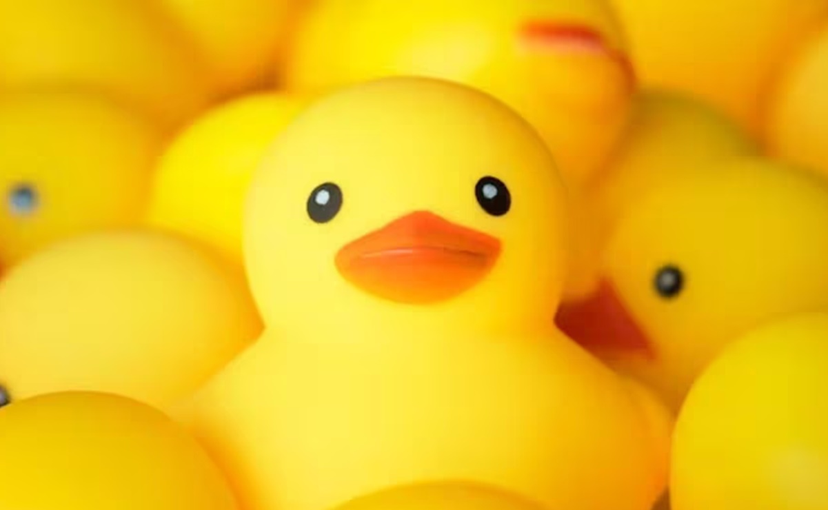 ¿Qué significan los patitos en la cabeza, la nueva tendencia de redes sociales?