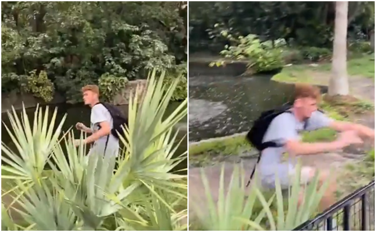 Detenido por osadía; joven se graba cerca de un estanque lleno de caimanes en zoológico de Florida