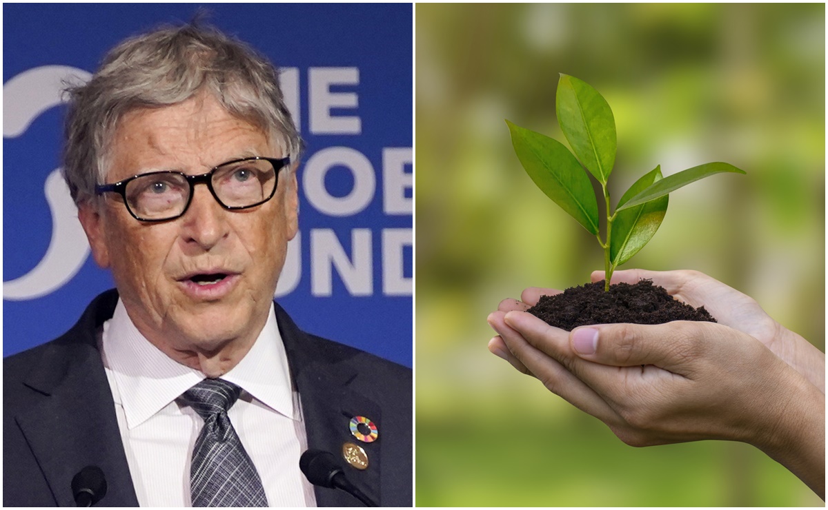 “¿Somos gente de ciencia o idiotas?”. Bill Gates dice que el cambio climático no se combate plantando árboles