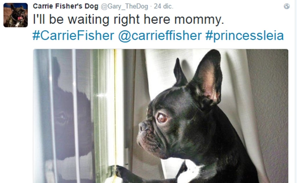 El perro de Carrie Fisher también se despide de ella