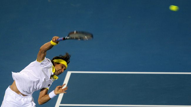 Ferrer se deshace de Berdych