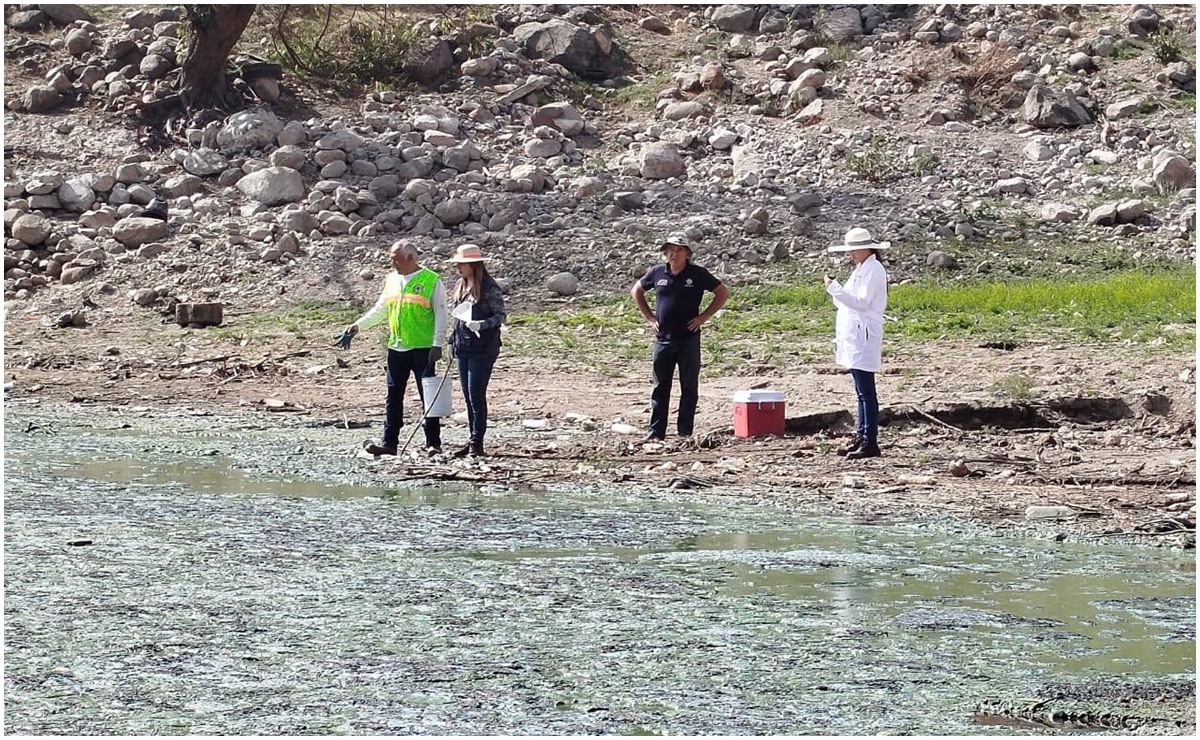 Analizan contaminantes de la Presa Madín; esperan obtener resultados de toxicidad en 20 días