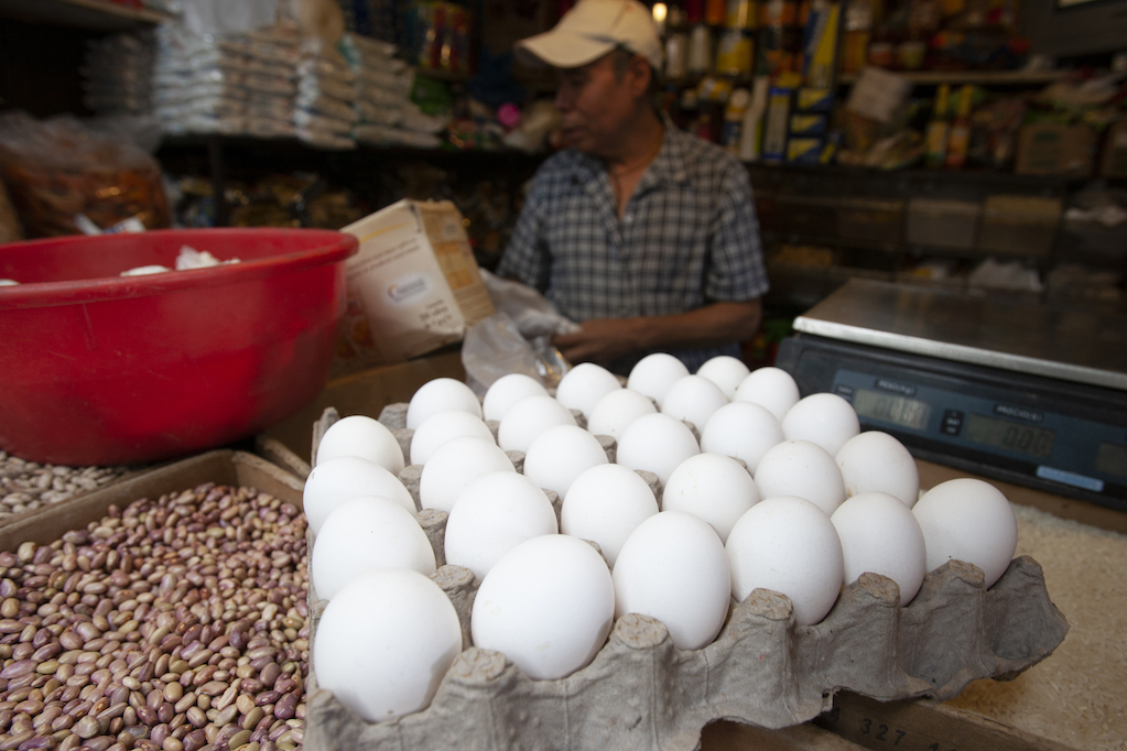 Baja la producción de huevo en Querétaro; se ubica en el lugar 14 en México