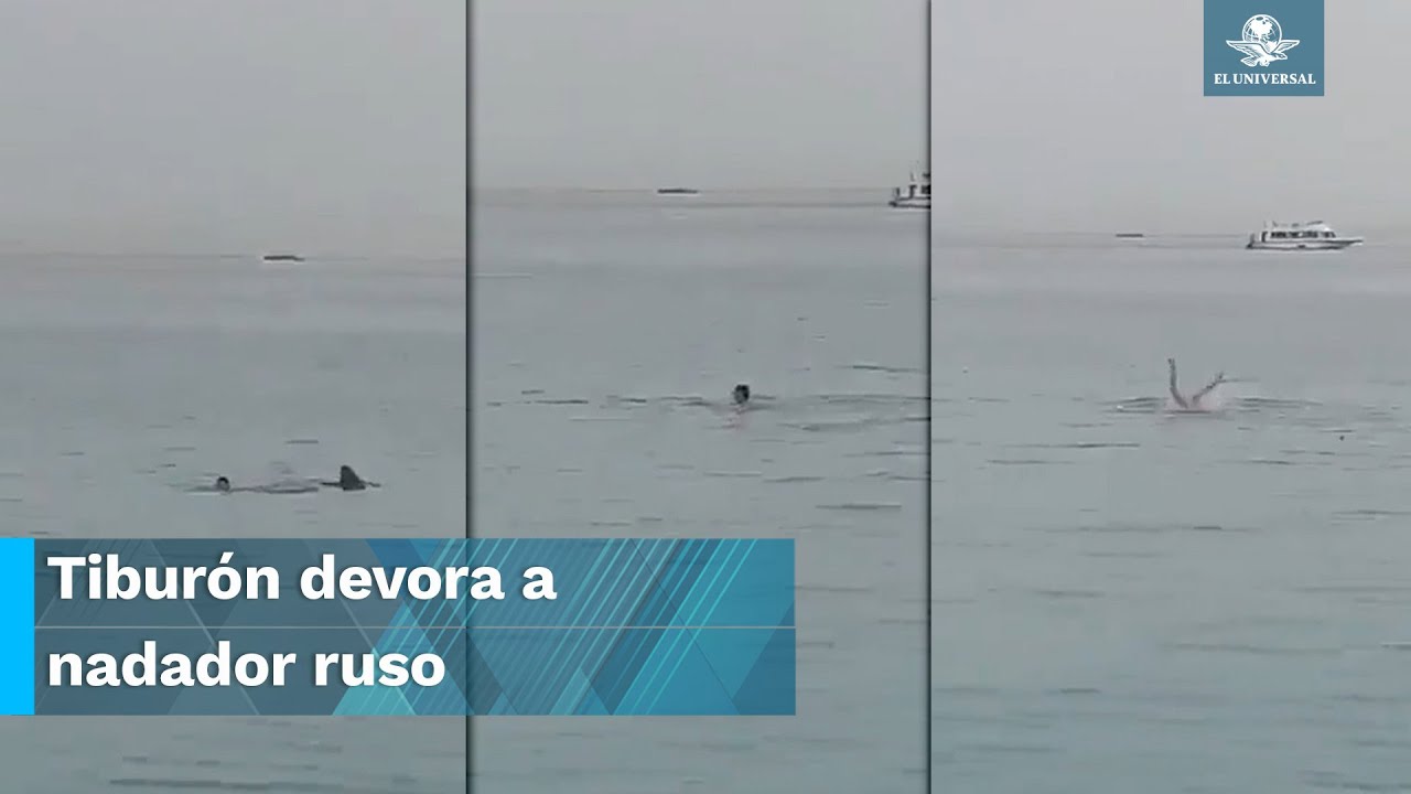 Terror en el mar. Tiburón ataca y mata a nadador ruso