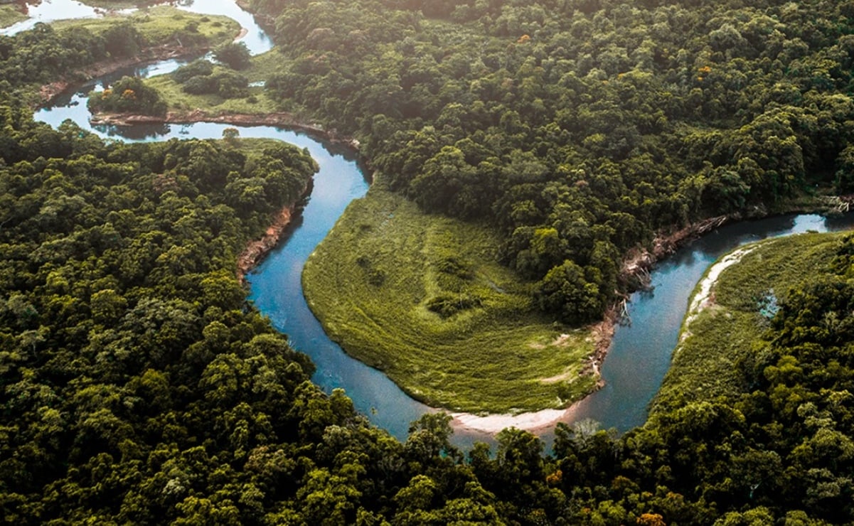 7 datos increíbles sobre el Amazonas, contados por un local