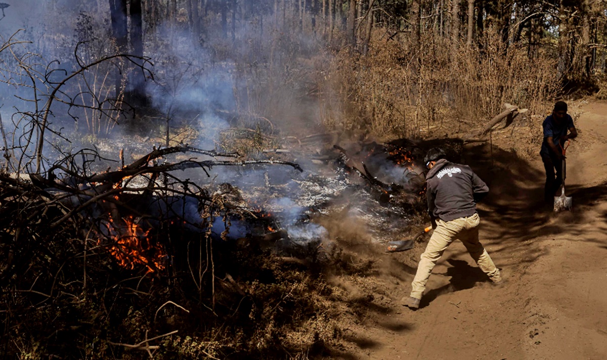 ¡México arde! Se reportan 130 incendios forestales en el país y más de 8 mil hectáreas afectadas