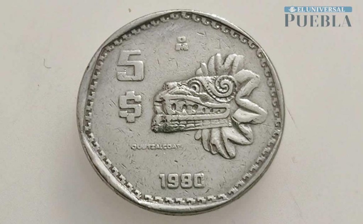 Cómo se guardan las monedas y billetes de colección | El Universal Puebla
