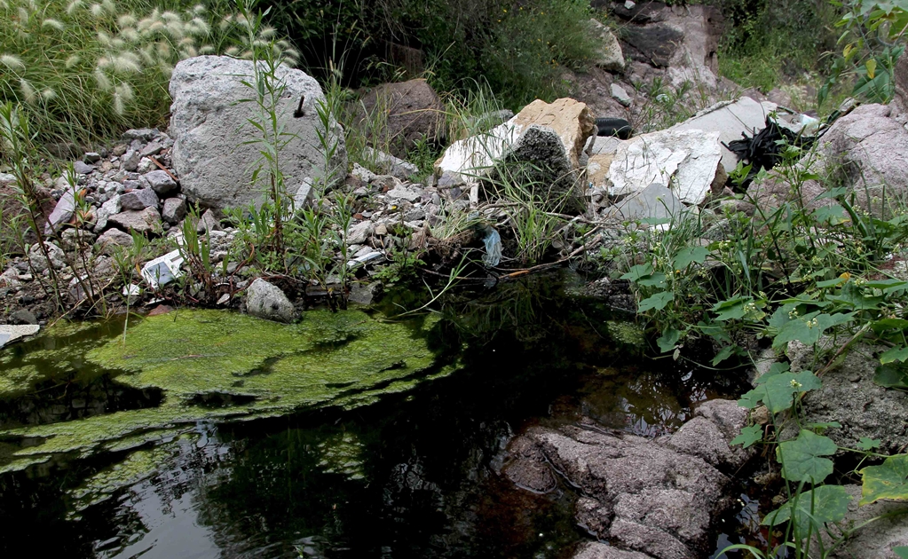 Buscan decretar como áreas naturales protegidas a barrancas en Ecatepec 