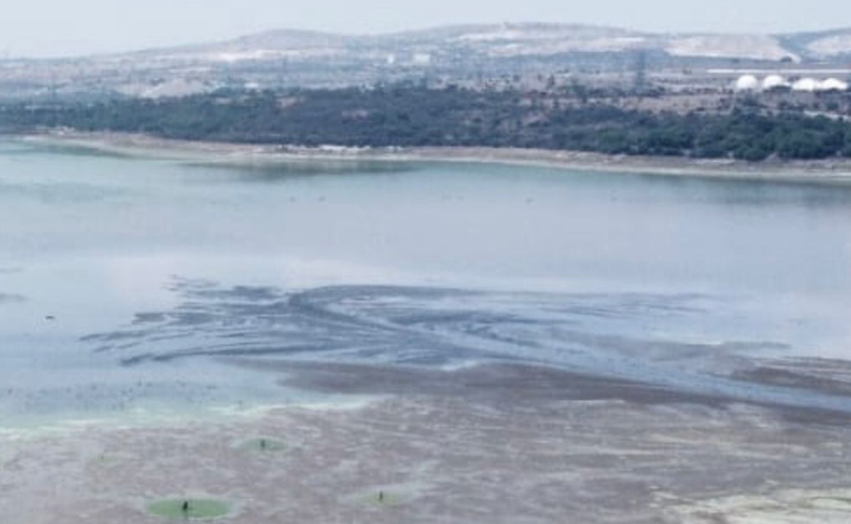 Alerta en Hidalgo: la presa Requena solo tiene 5.2% de almacenamiento de agua; aves y peces han muerto