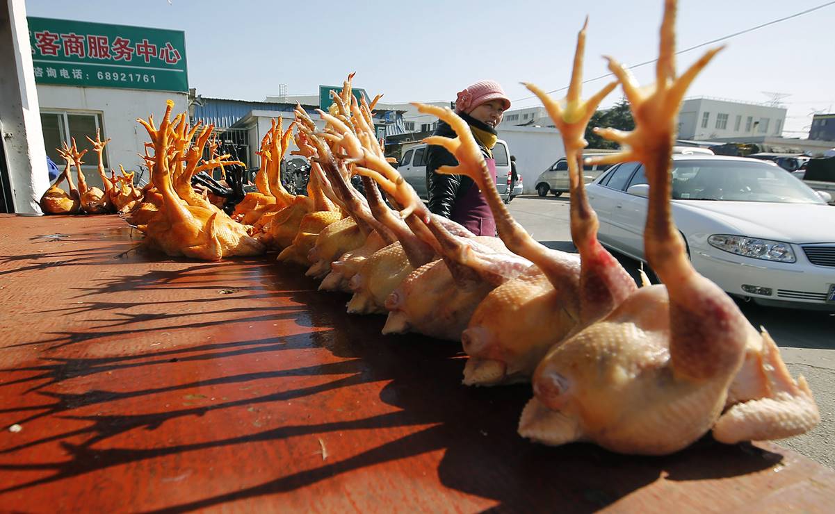 China detecta primer contagio de gripe aviar H10N3 en humanos