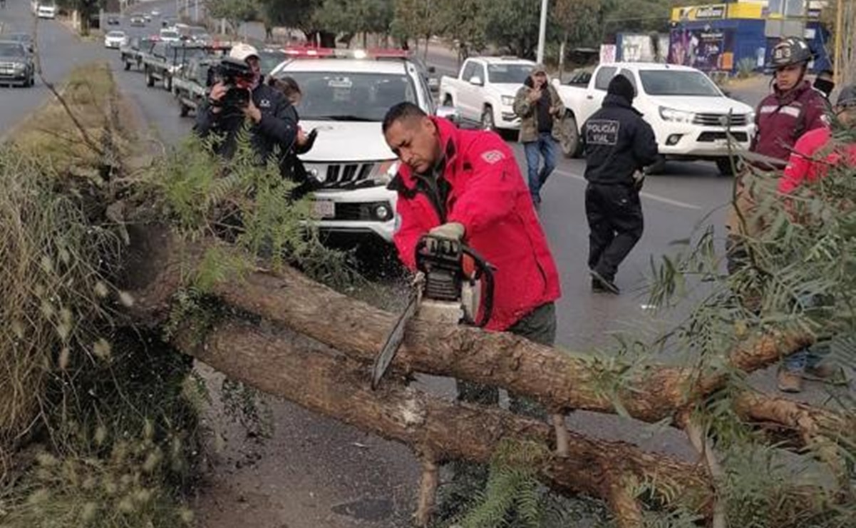 Lonas, árboles y espectaculares caídos tras fuertes ráfagas en Zacatecas; afectan servicio de energía eléctrica
