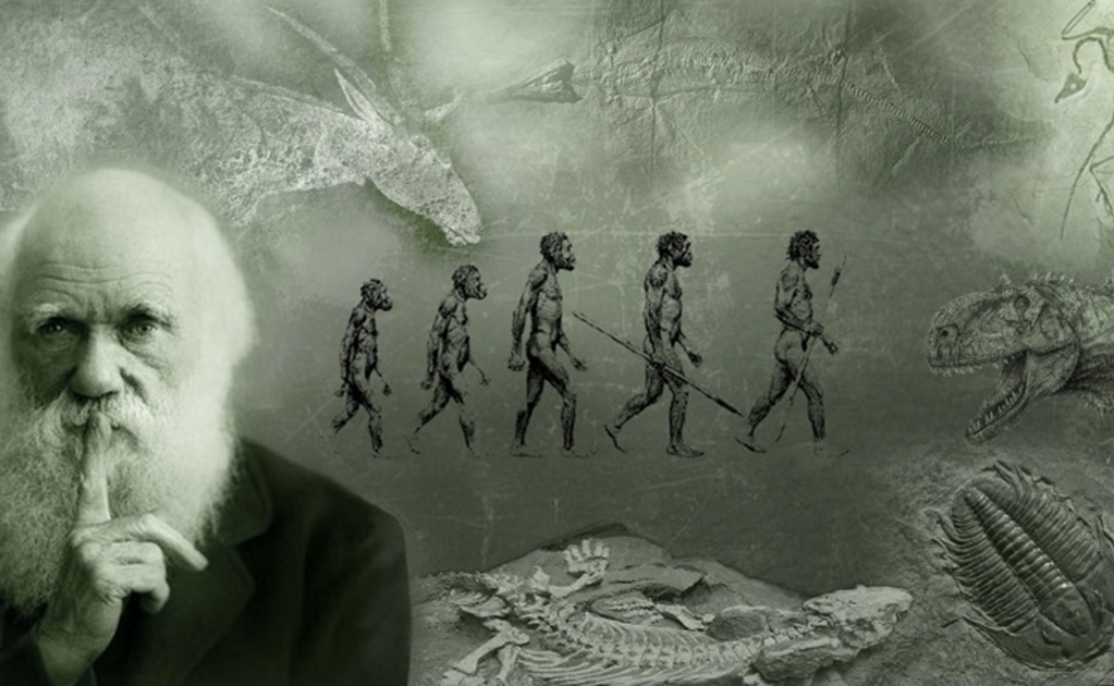 Científicos resuelven el "abominable misterio" de las plantas de Darwin