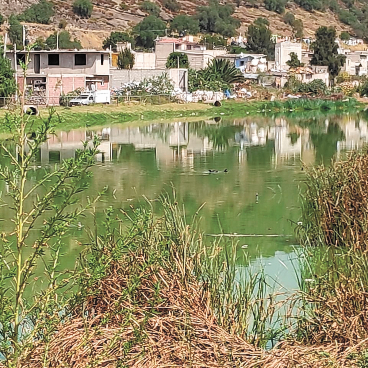 Denuncian lago de aguas negras en zona de Xico